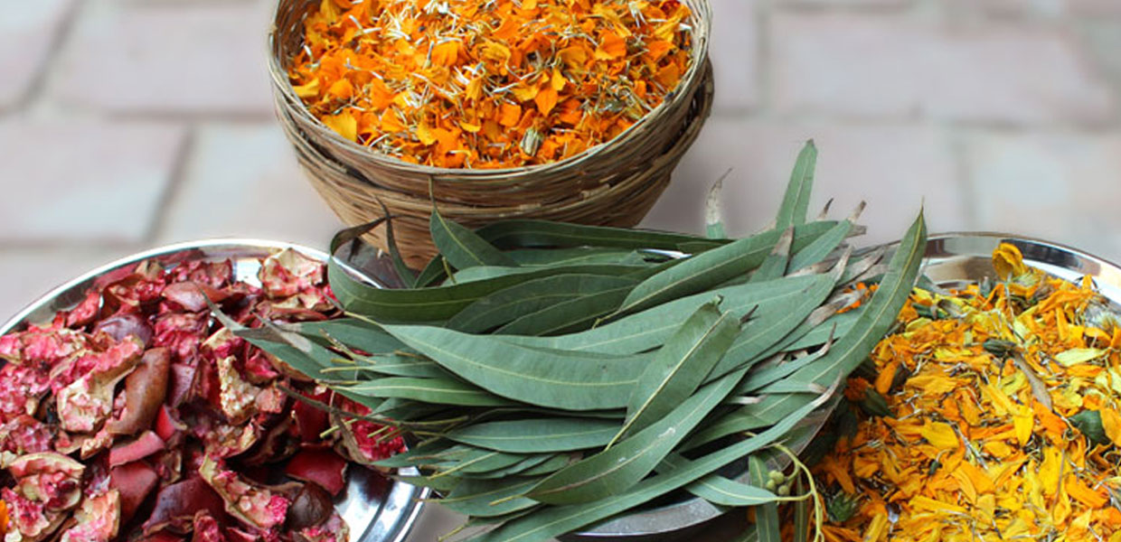 Organic Vegetable Base Raw Material for Eco-friendly Chemical-free Dyeing