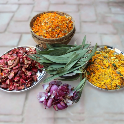 veg_dyeing_raw_material
